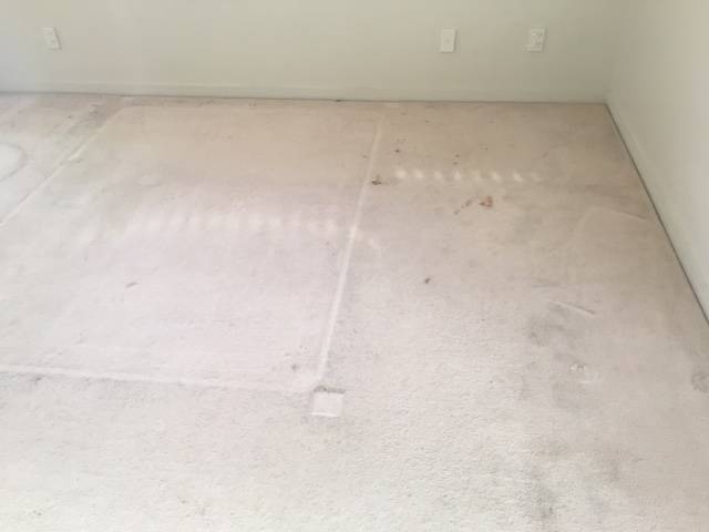 Kiwi Bright - Carpet Cleaning