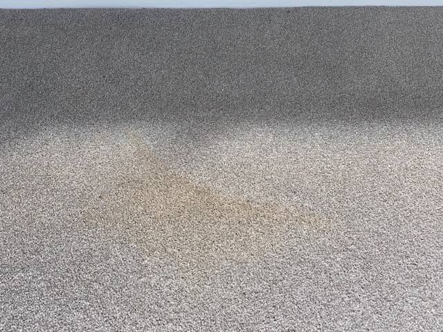Kiwi Bright - Carpet Cleaning