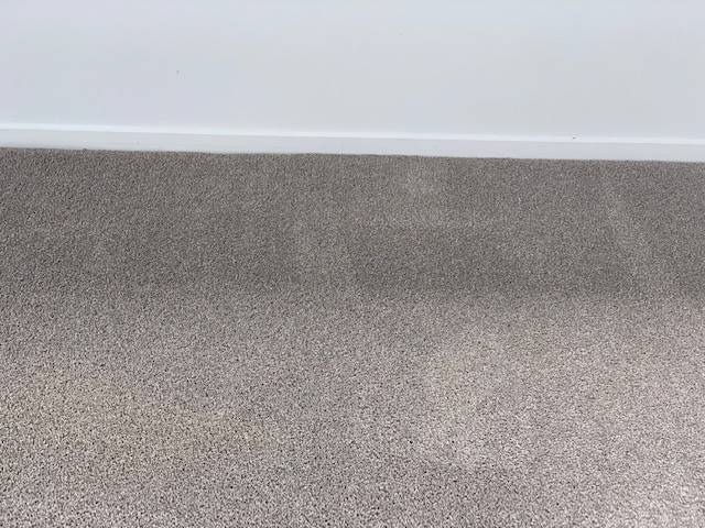 Kiwi Bright - Carpet Cleaning