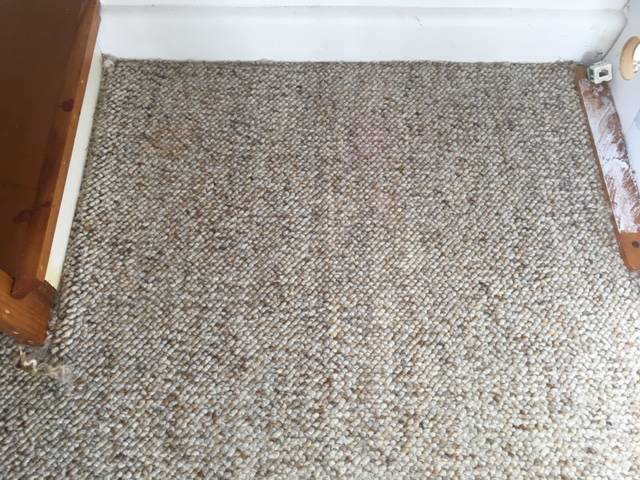 Kiwi Bright - Carpet Cleaning