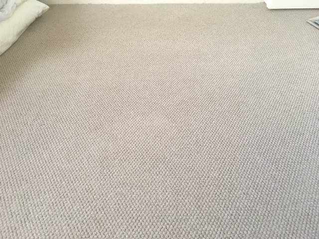 Kiwi Bright - Carpet Cleaning