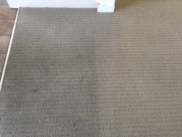 Kiwi Bright - Carpet Cleaning