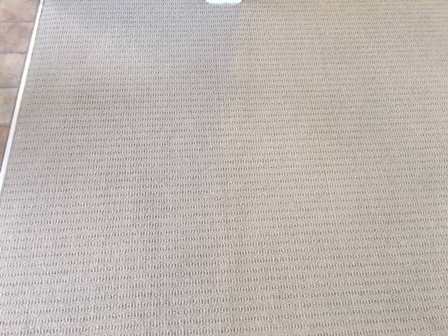 Kiwi Bright - Carpet Cleaning