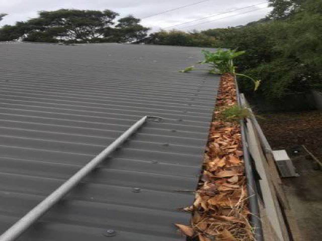 Kiwi Bright - Gutter Cleaning