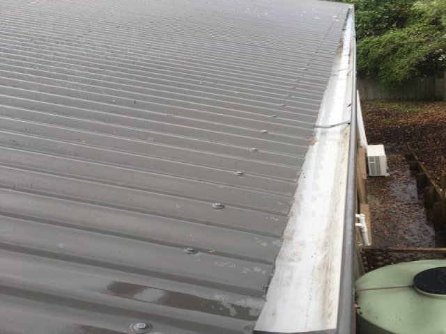 Kiwi Bright - Gutter Cleaning