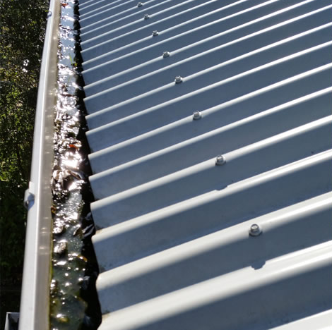 Kiwi Bright - Gutter Cleaning
