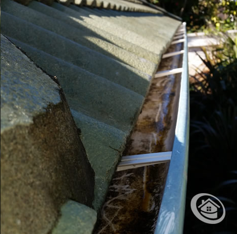 Kiwi Bright - Gutter Cleaning