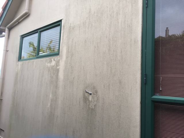 Kiwi Bright - House Soft Wash