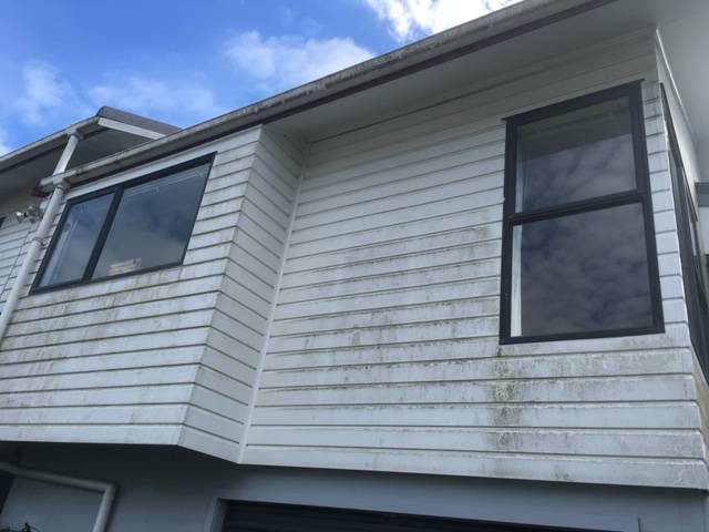 Kiwi Bright - House Soft Wash