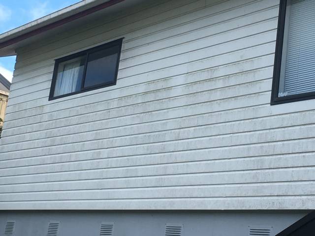 Kiwi Bright - House Soft Wash