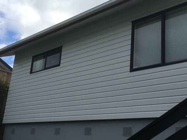 Kiwi Bright - House Soft Wash