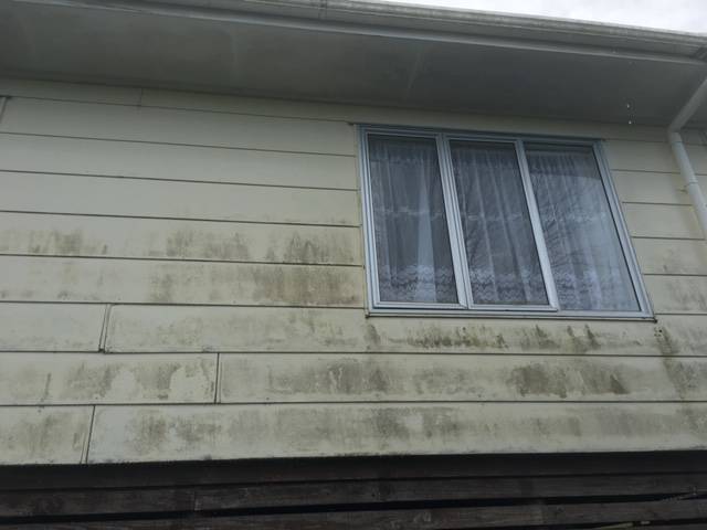 Kiwi Bright - House Soft Wash