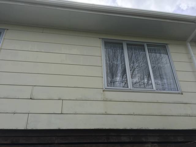 Kiwi Bright - House Soft Wash