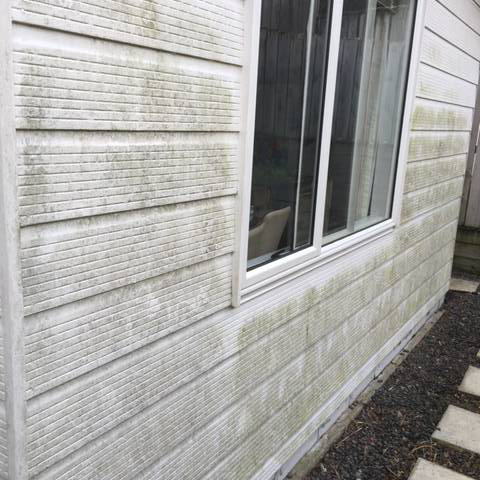 Kiwi Bright - House Soft Wash