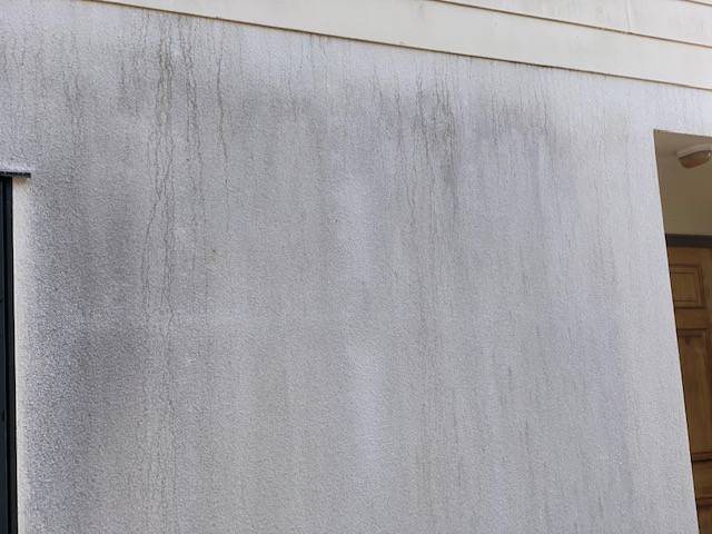 Kiwi Bright - House Soft Wash