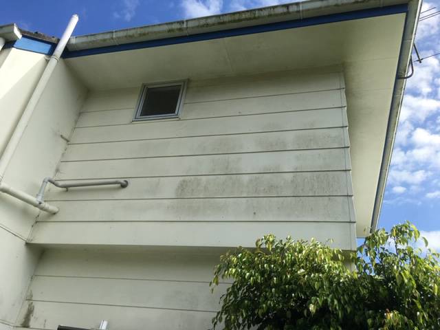 Kiwi Bright - House Soft Wash