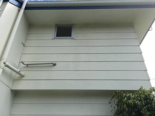 Kiwi Bright - House Soft Wash