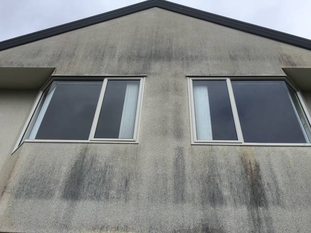 Kiwi Bright - House Soft Wash