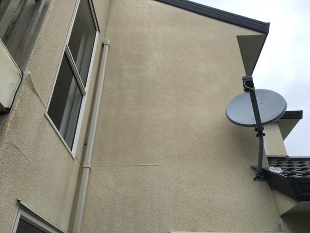 Kiwi Bright - House Soft Wash