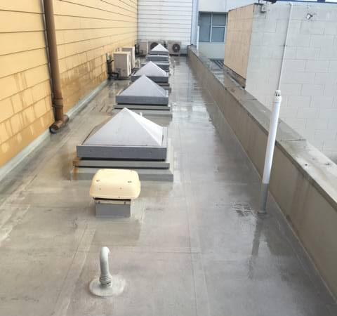 Kiwi Bright - Roof treatment