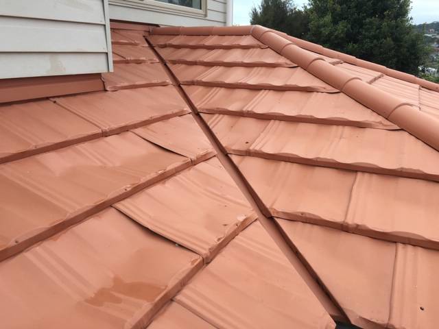 Kiwi Bright - Roof treatment