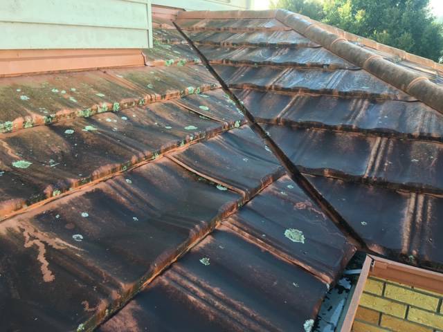 Kiwi Bright - Roof treatment