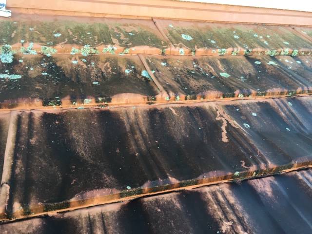 Kiwi Bright - Roof treatment