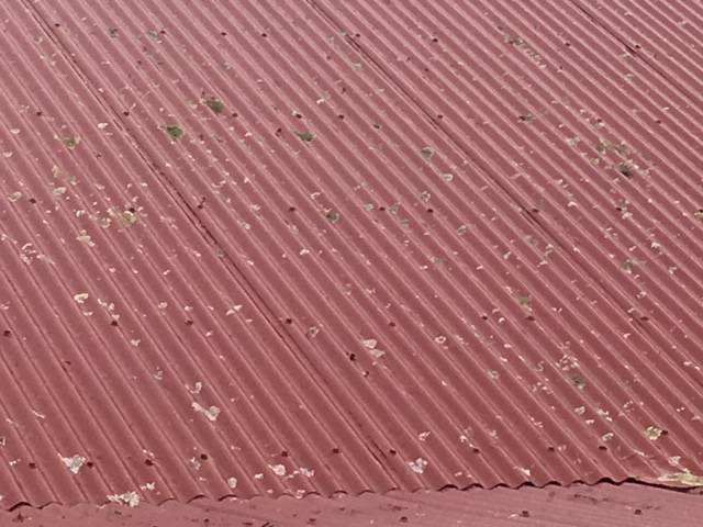 Kiwi Bright - Roof treatment