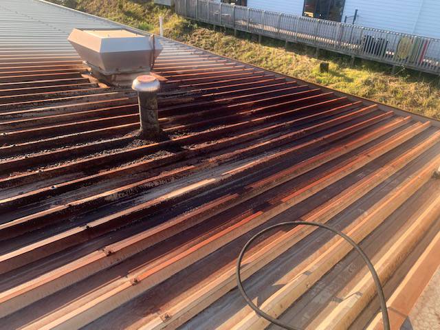 Kiwi Bright - Roof treatment