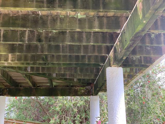 Kiwi Bright - Water Blasting